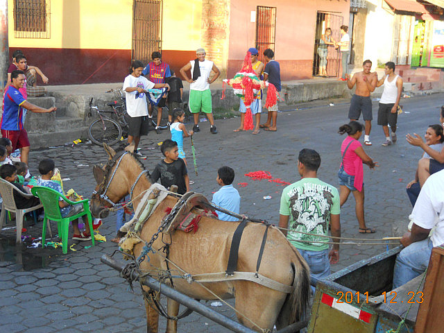2.1324666641.pinatas-for-christmas