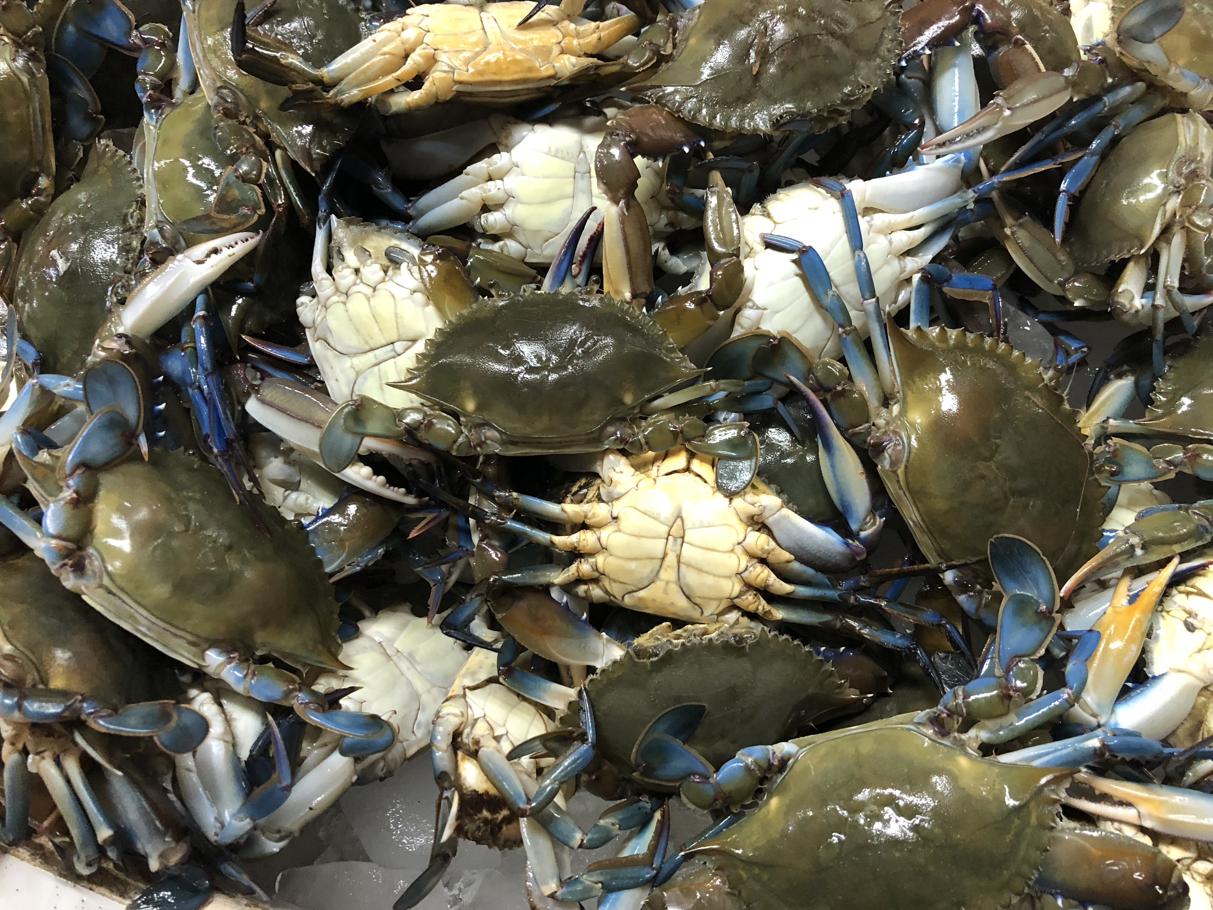 clfkIctcSIS8Vdhn17VFtQ