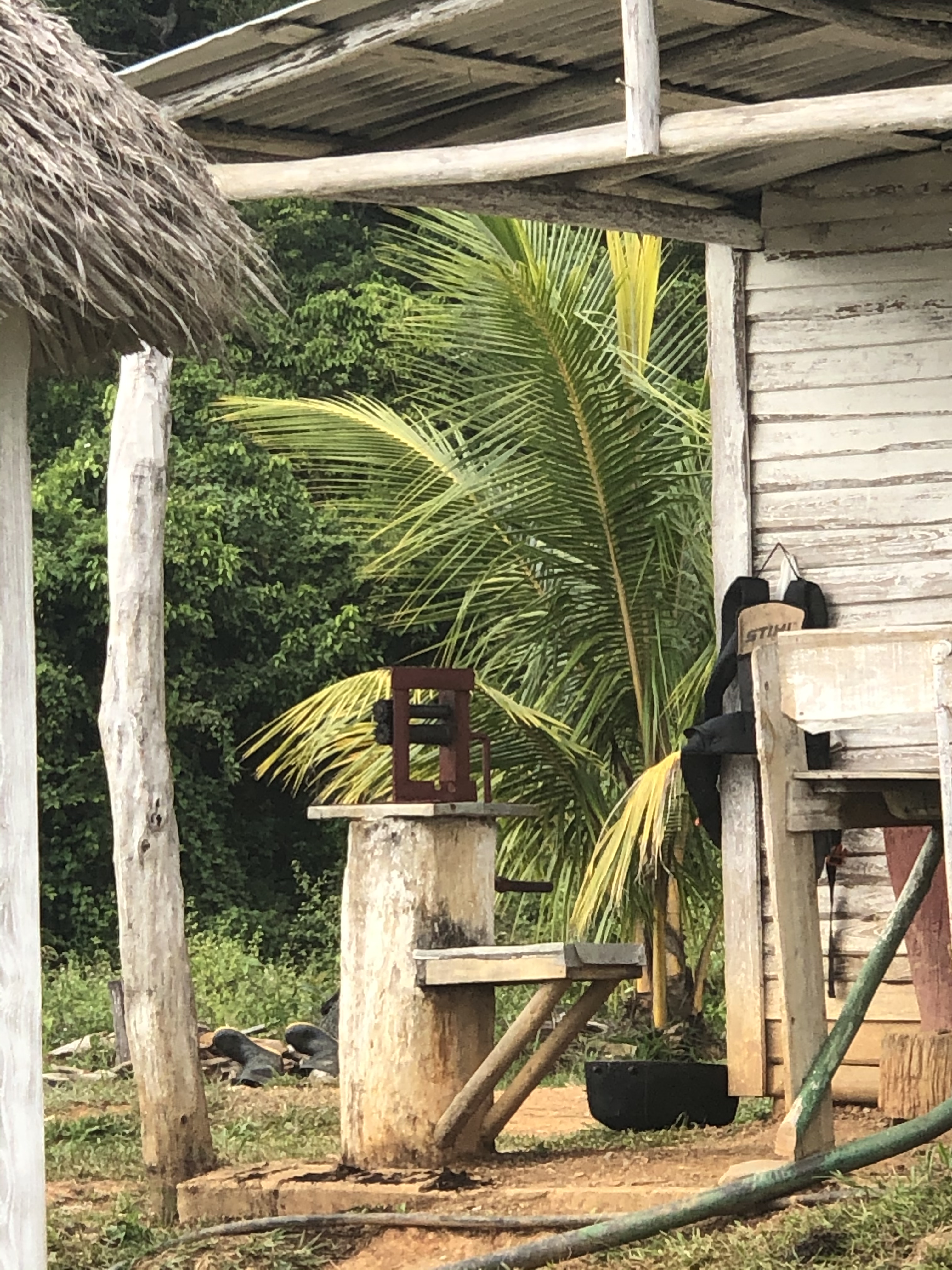 4B928388-D89F-462D-9A6F-491DDC14A451