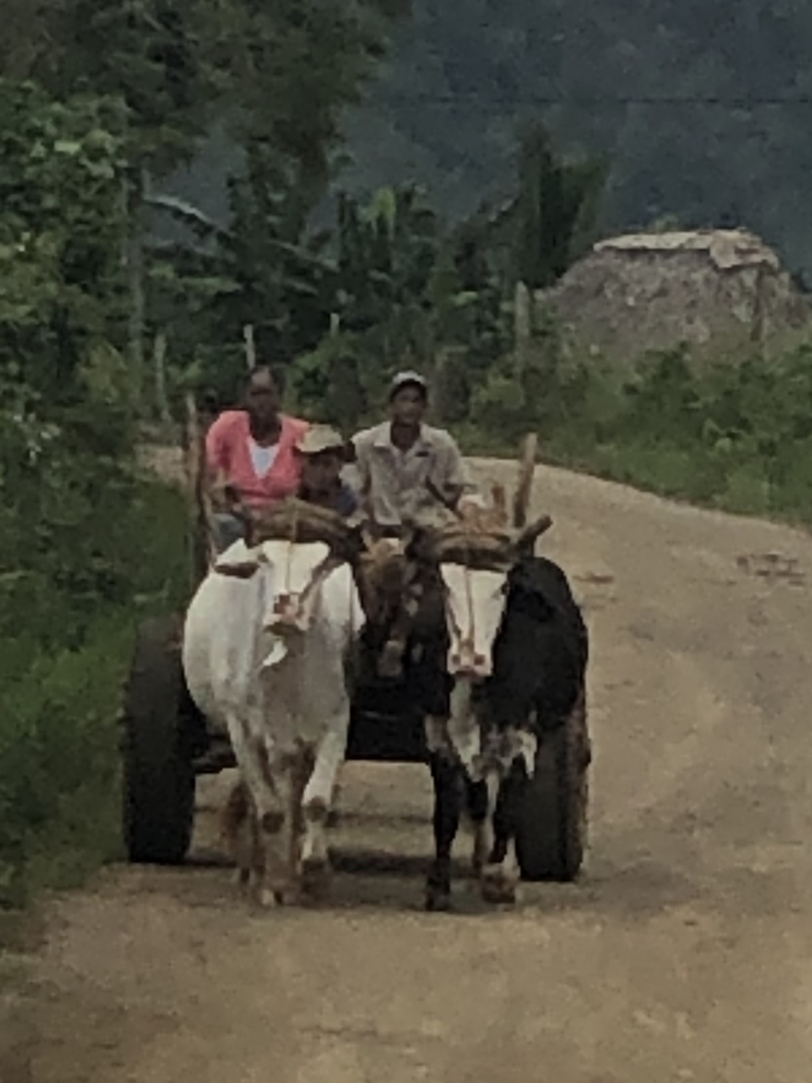 4E0E3D05-2F1F-4089-8747-9C9BB5C5AC1B