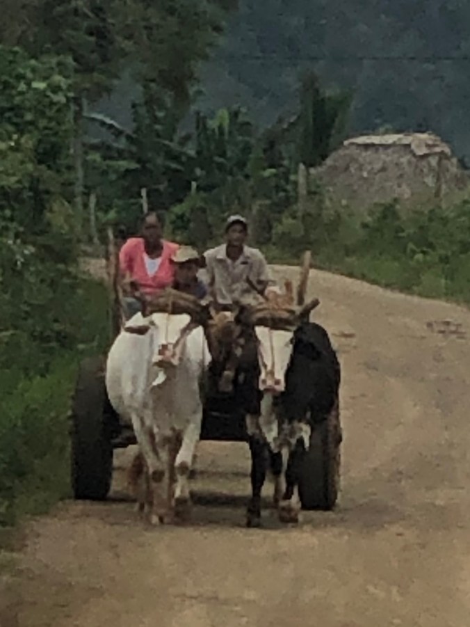 4E0E3D05-2F1F-4089-8747-9C9BB5C5AC1B