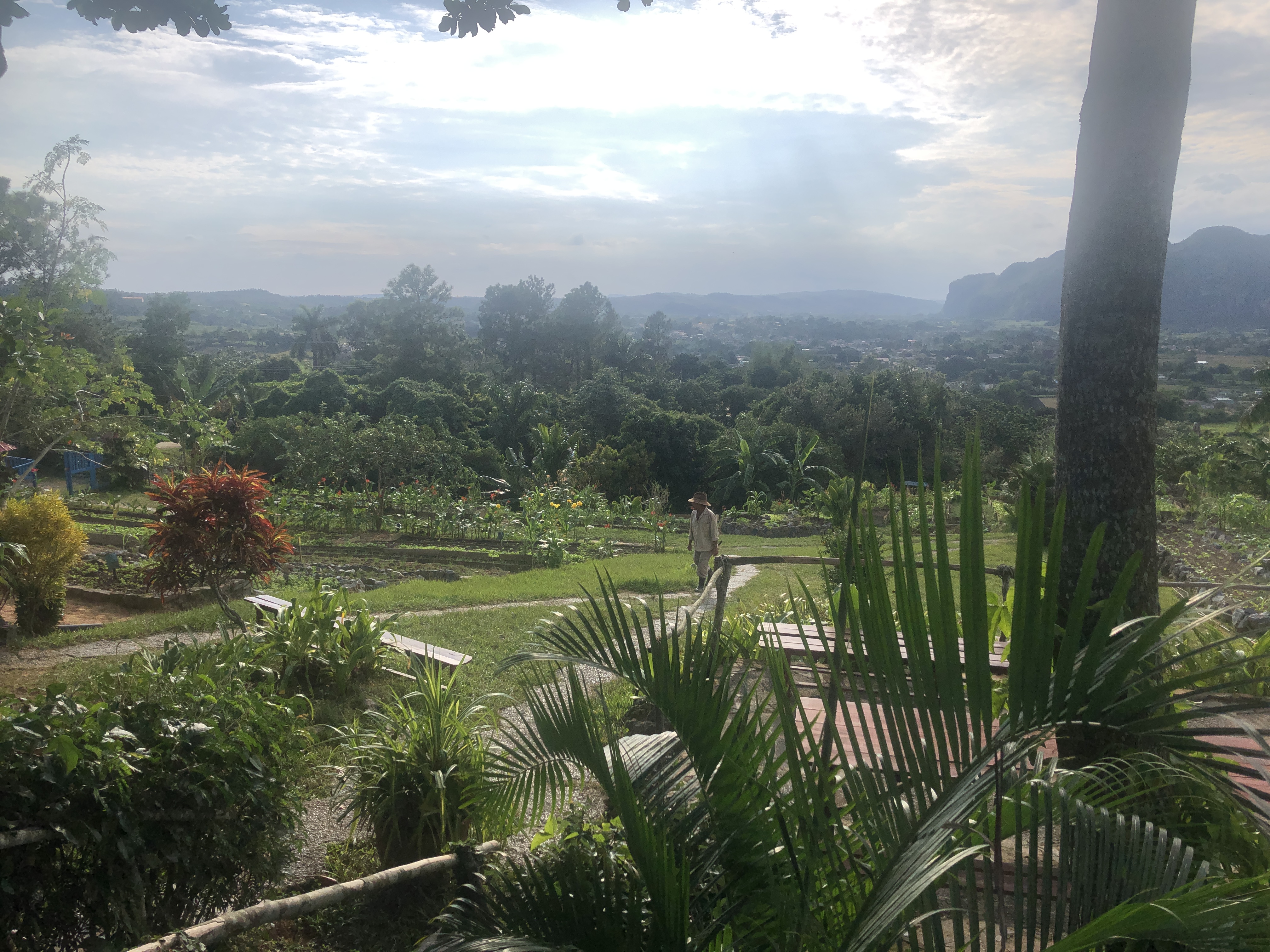 61204FF1-9AD1-4D56-B344-787DB4DBE233