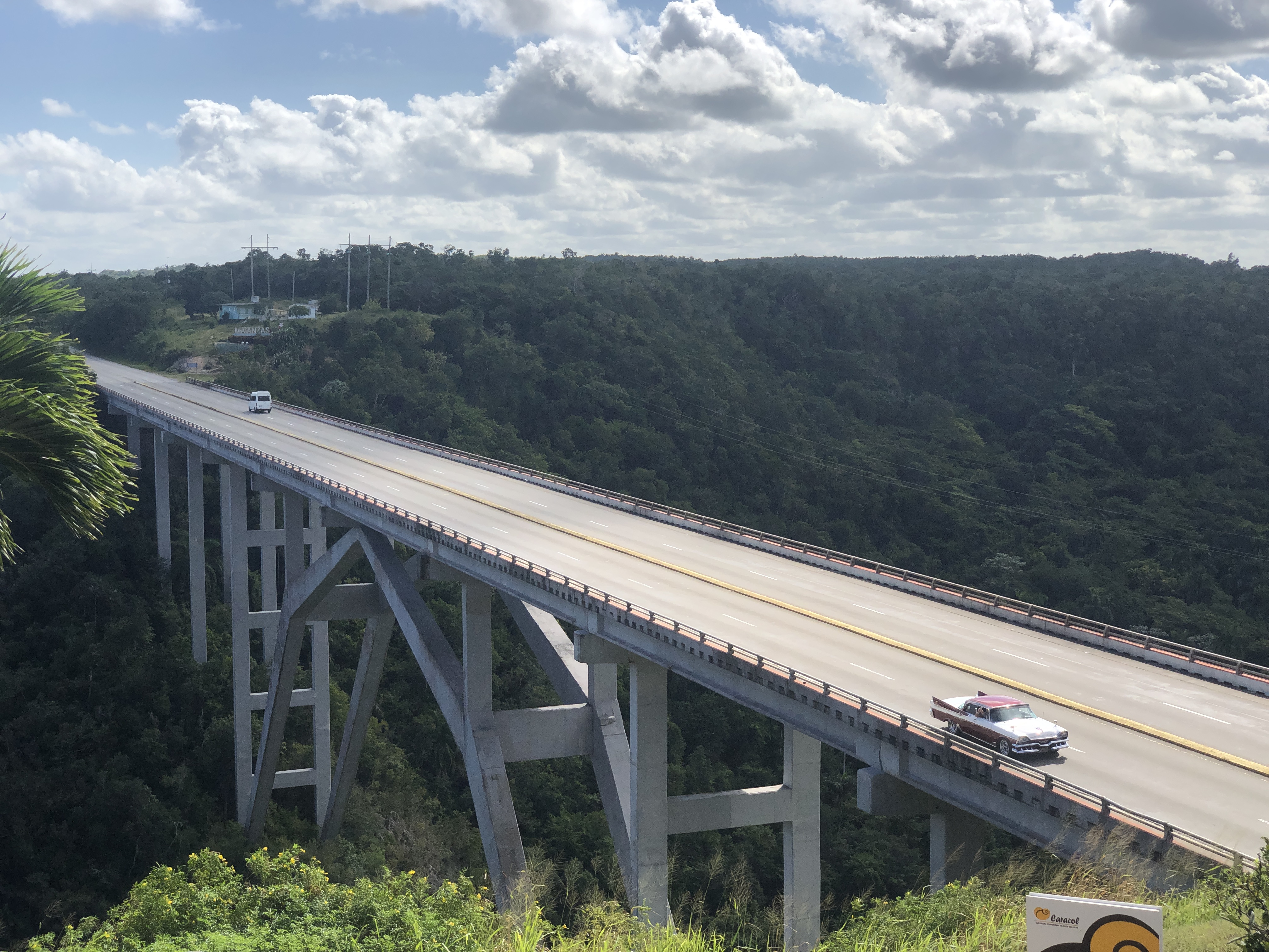 8A1156B2-C230-40CD-A78E-34F869CC5F03