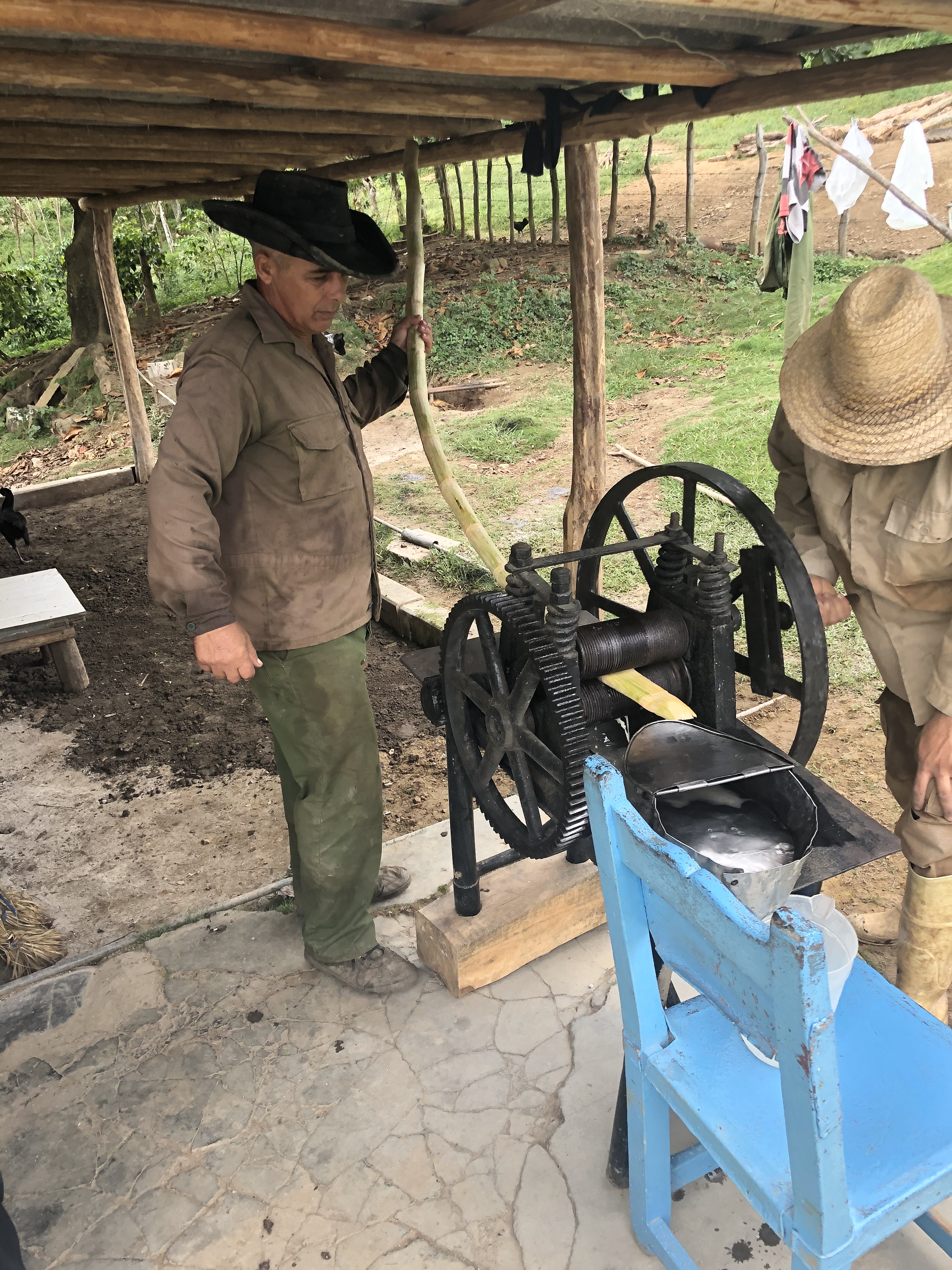 B51D0A24-D663-403C-81AF-A5CA3C1BB425