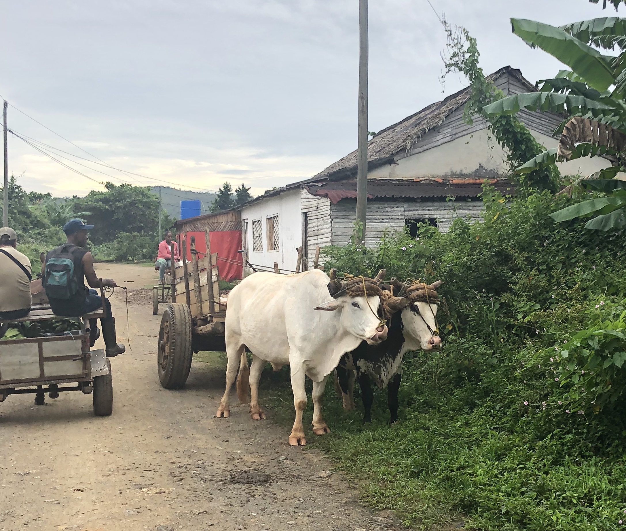 C6828573-F127-477C-BA6B-C01FBDBCE535