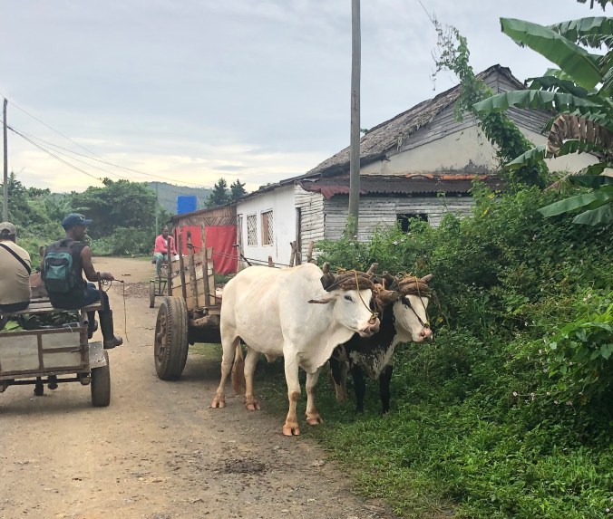 C6828573-F127-477C-BA6B-C01FBDBCE535