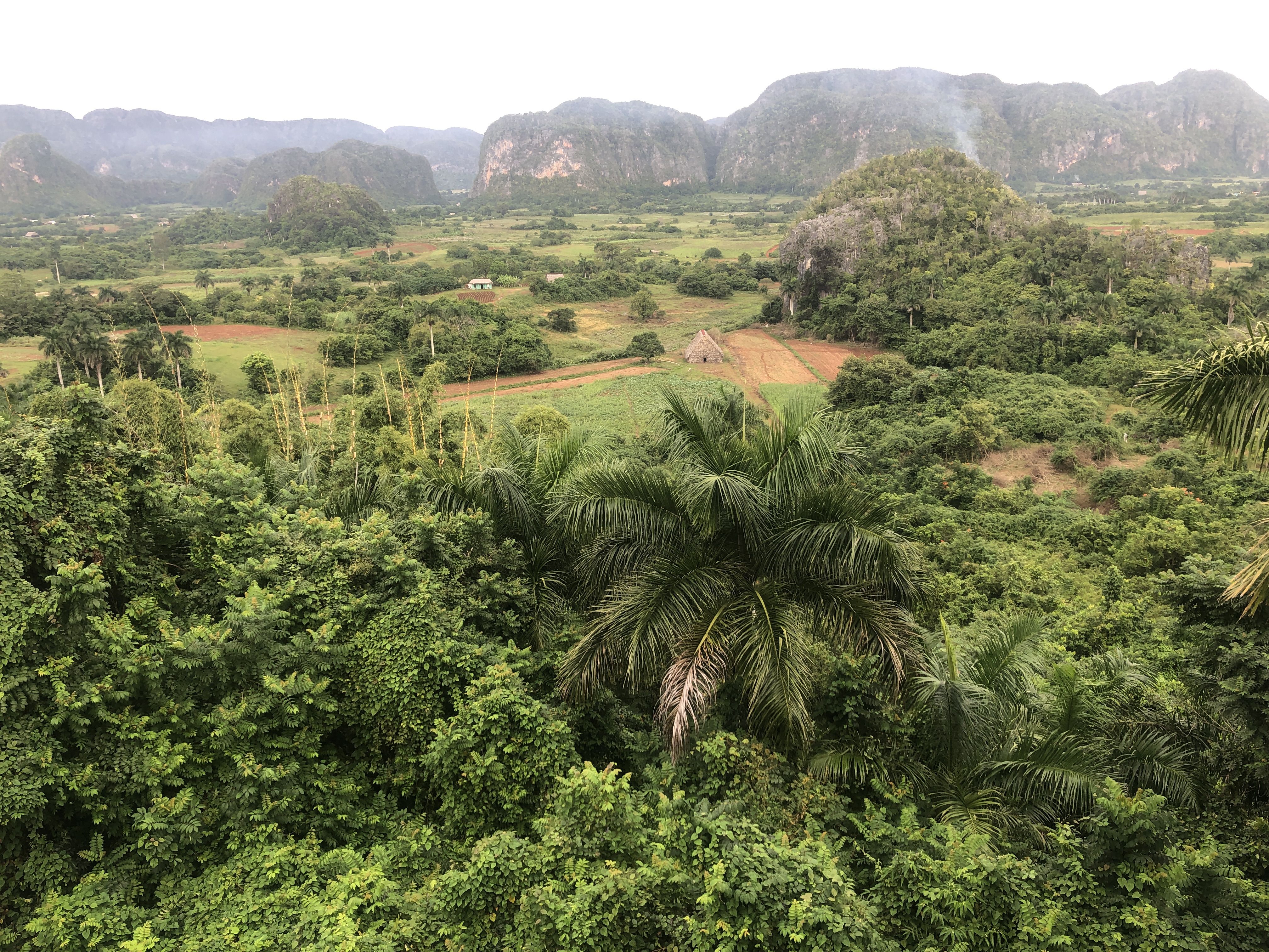 D1C51618-3002-45E4-B7C7-8DCEFE70C42B