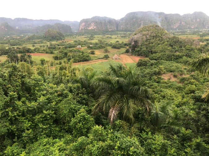 D1C51618-3002-45E4-B7C7-8DCEFE70C42B