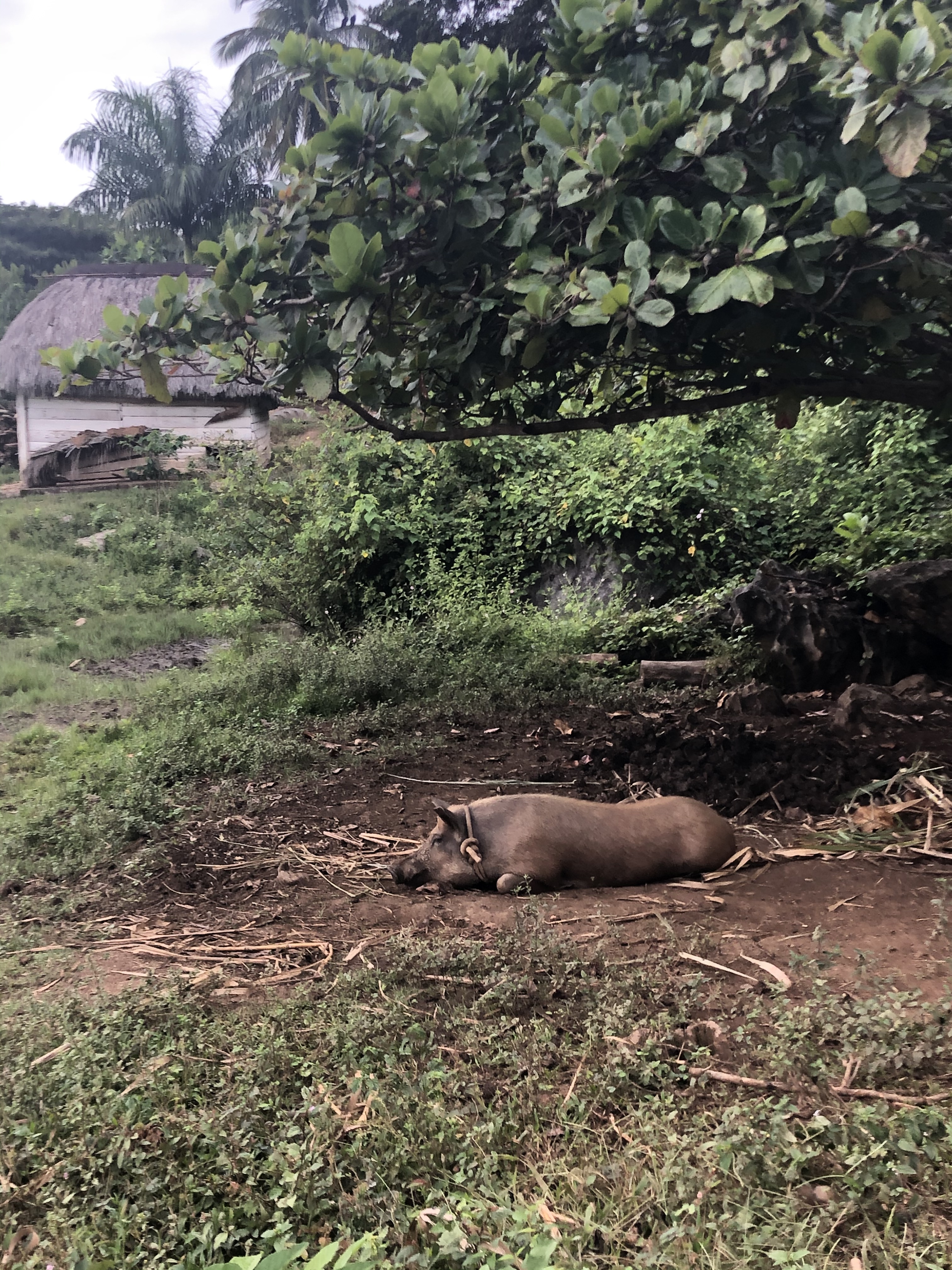 FDB34A98-894E-4AE7-9F5C-5C5C78EAB507