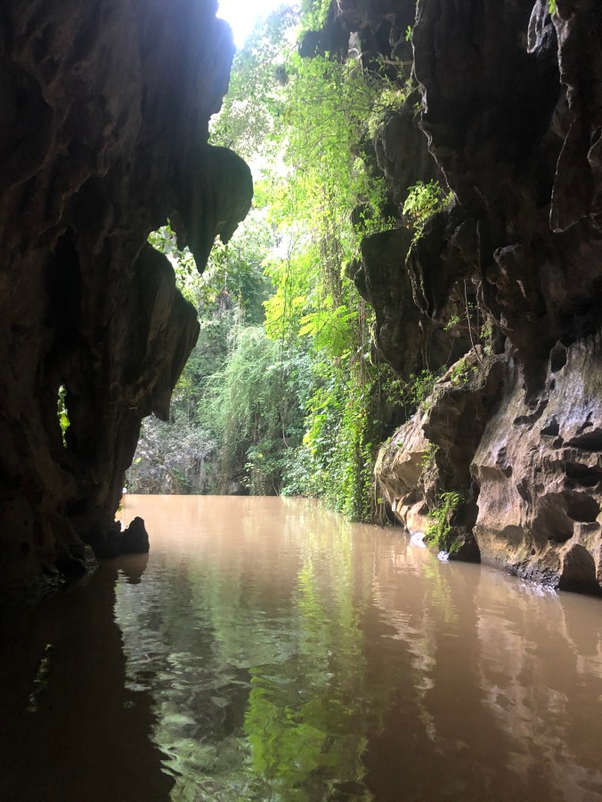 FFD7078F-BE3E-4347-9679-BD358DA784DD