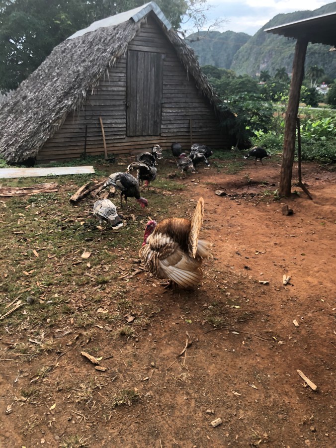 FFFE77F7-C442-45C4-BD23-0C8D2CA8261D