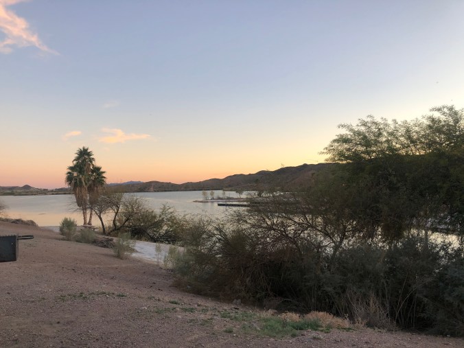 029A71E5-F13C-44EF-94FC-E3BDCB7FD086