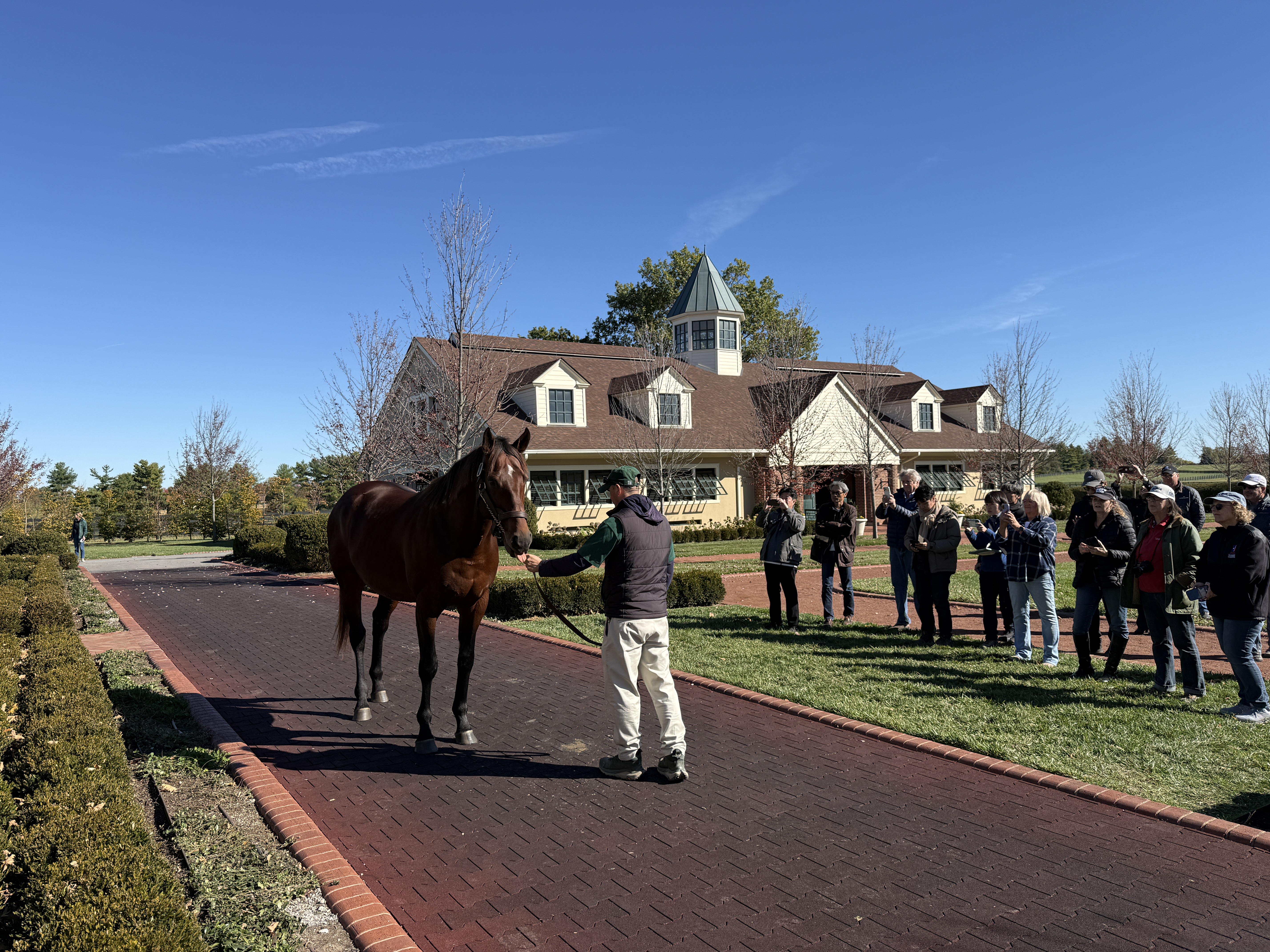 A man leads a brown horse on a brick pathway in front of a large building, with a group of people observing and taking photos.