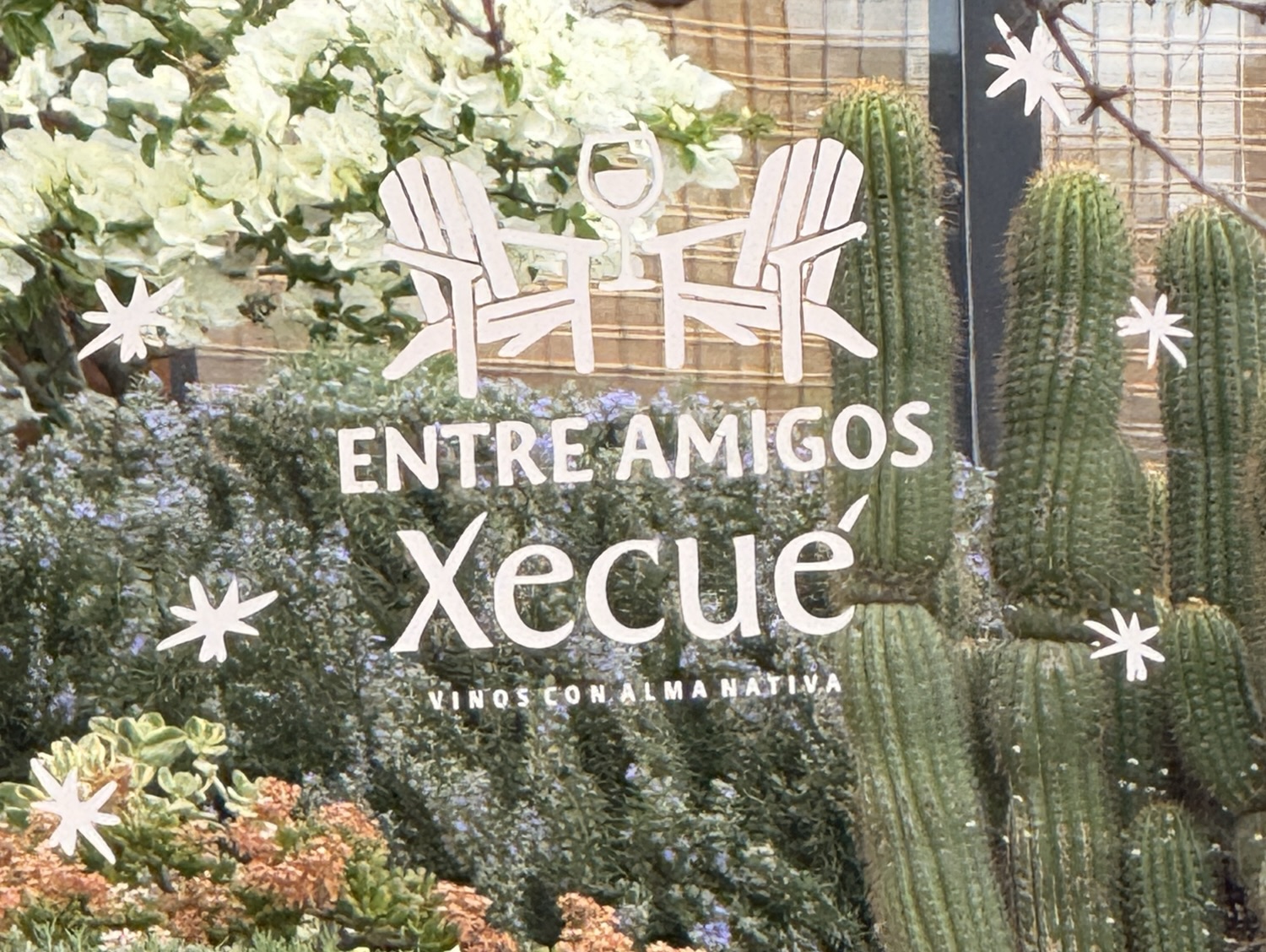 Window display featuring the text 'ENTRE AMIGOS Xecué' surrounded by greenery and cacti, suggesting a warm and inviting atmosphere.