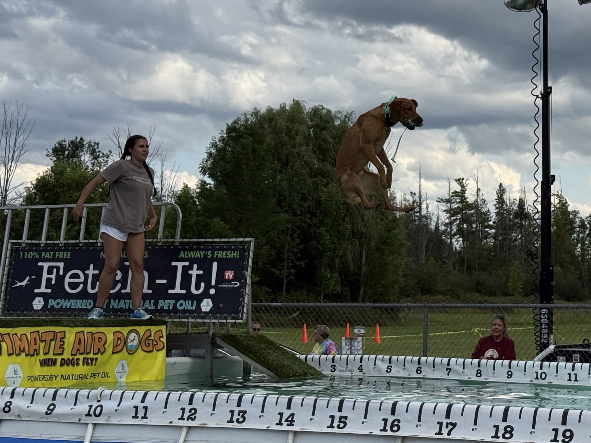 A dog leaping from a platform into a swimming pool, with a young woman on the platform and spectators in the background.